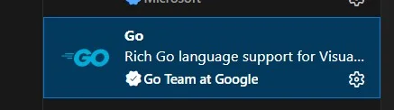 Go VSCode plugin